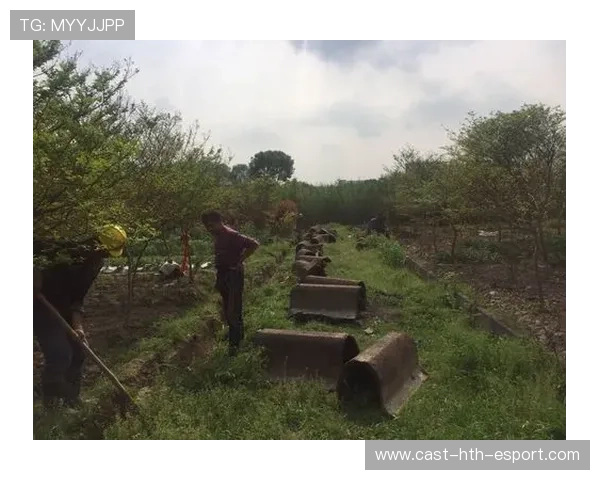 外网热议T1长期统治S赛，是否影响项目生态？